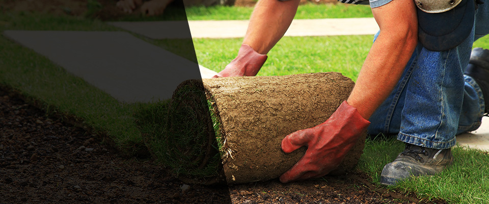 Glennville Landscapers